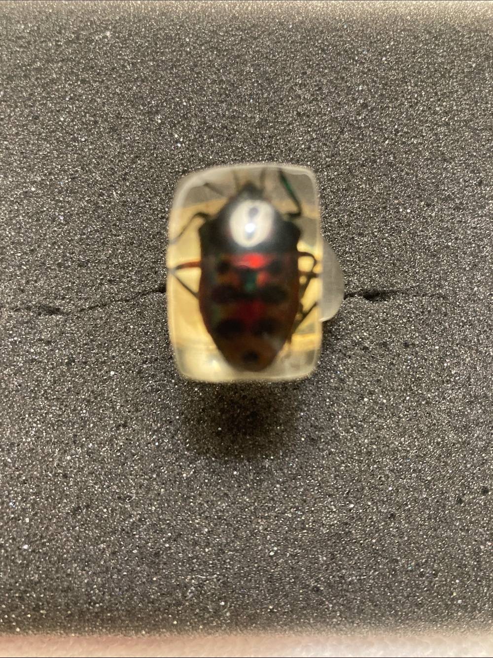 Encased Beetle Statement Ring in Clear Resin